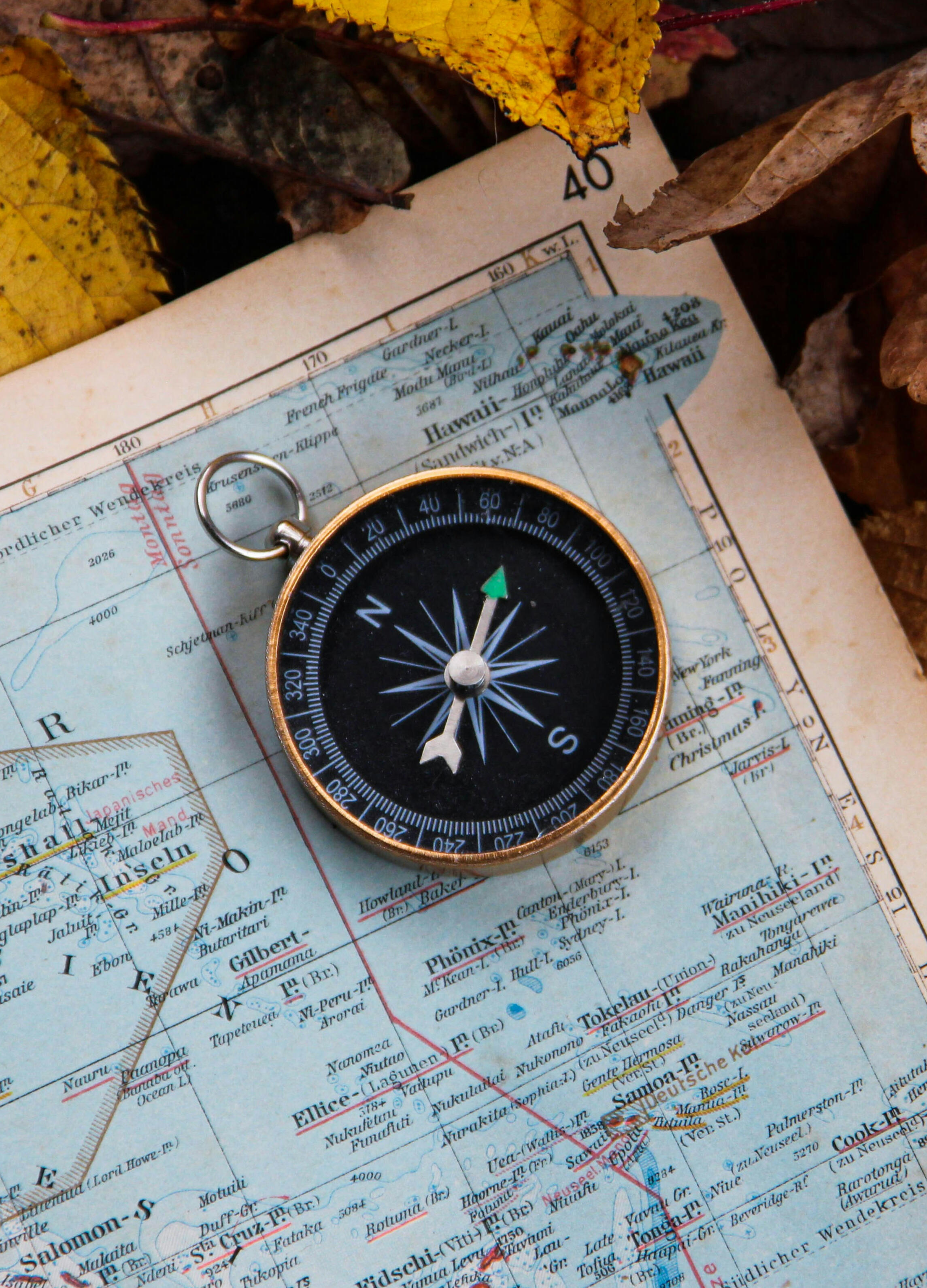 Image by Denise Jans@Unsplash